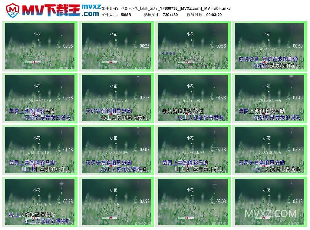 花姐-小花_国语_流行_YF800738